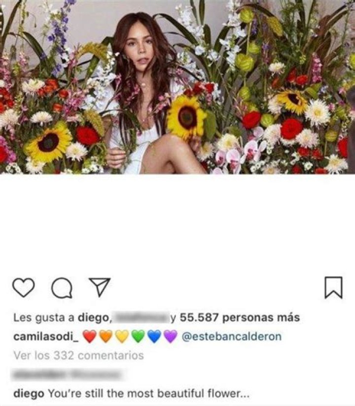 Camila Sodi, Diego Boneta's Girlfriend