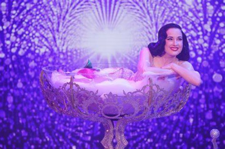 , Dita Von Teese's Boyfriend
