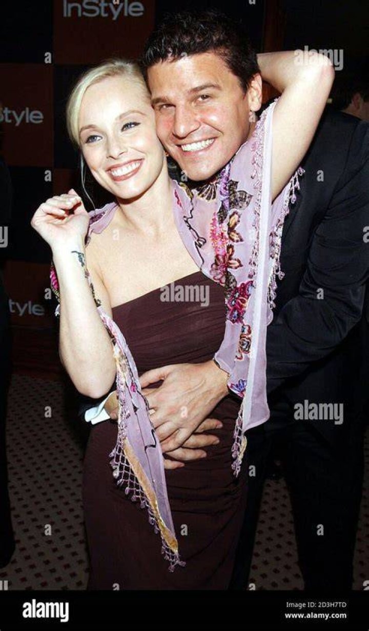 Jaime Bergman, David Boreanaz's Wife