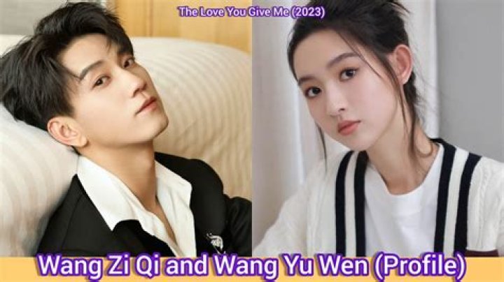 Who is Li Ziqi Dating – Li Ziqi's Boyfriend & Exes